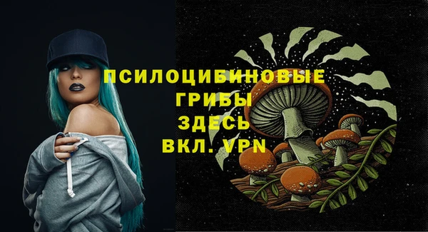 СК Бородино