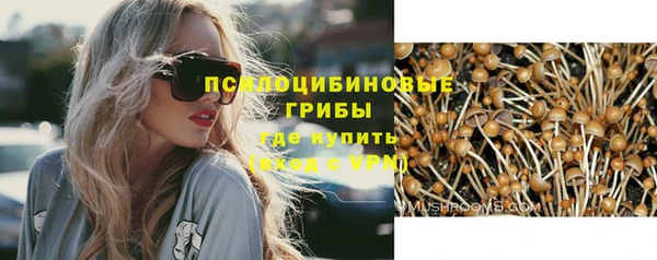 СК Бородино