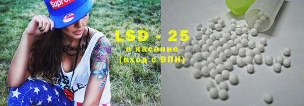 СК Бородино