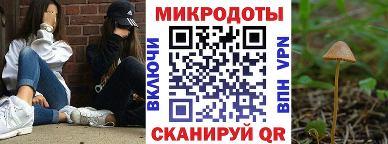 Галлюциногенные грибы прущие грибы  Киренск 